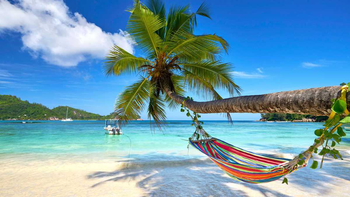 Seychelles Beach Hammock